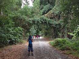 Yesil Bahce Bungalow - Ahsap Evler