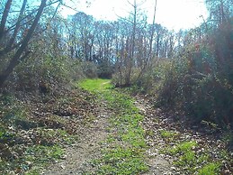 Yesil Bahce Bungalow - Ahsap Evler