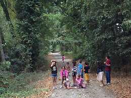 Yesil Bahce Bungalow - Ahsap Evler