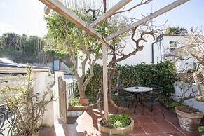 Appartamenti Il Viticcio