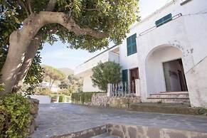 Appartamenti Il Viticcio