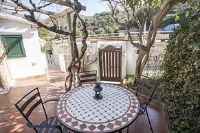 Appartamenti Il Viticcio