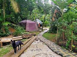 Sitio Simple Life - Hostel