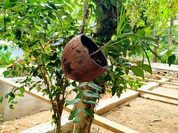 Sitio Simple Life - Hostel