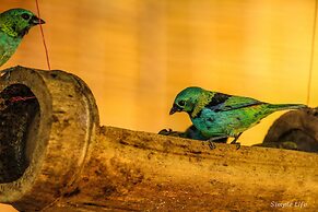 Sitio Simple Life - Hostel