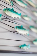 Lighthouse Lane Cottages