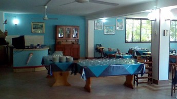 Viola Club Village