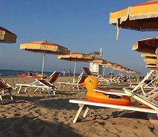 Viola Club Village