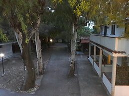 Viola Club Village