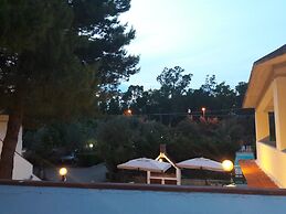 Viola Club Village