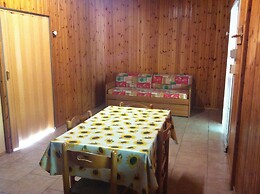 Viola Club Village