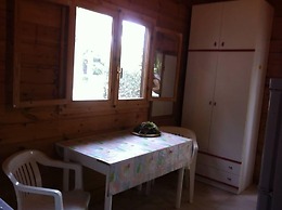 Viola Club Village