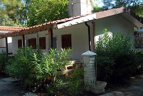 Viola Club Village