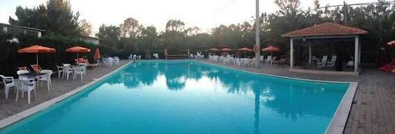 Viola Club Village