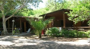 Viola Club Village