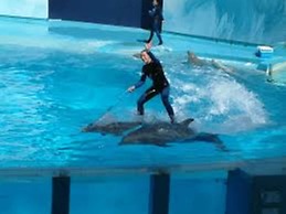 Quinta dos Cochichos – Country Houses