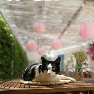 Quinta dos Cochichos – Country Houses