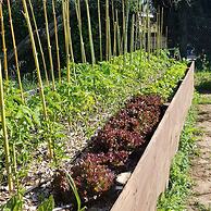 Quinta dos Cochichos – Country Houses