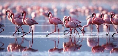 Quinta dos Cochichos – Country Houses