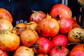 Quinta dos Cochichos – Country Houses