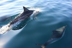 Quinta dos Cochichos – Country Houses