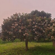 Quinta dos Cochichos – Country Houses