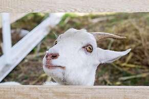 Hotel San Basilio de Palenque