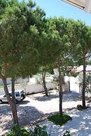 La Palude del Conte