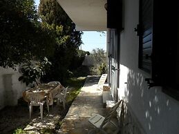 La Palude del Conte