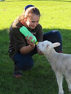 Catlins Gateway Motel