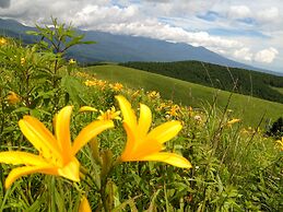 Pension Wildflowers