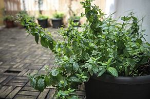 Charles Bridge Economic Hostel