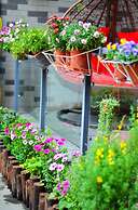 Dream House Qingchengshan