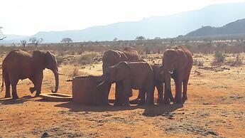 African Dream Cottages