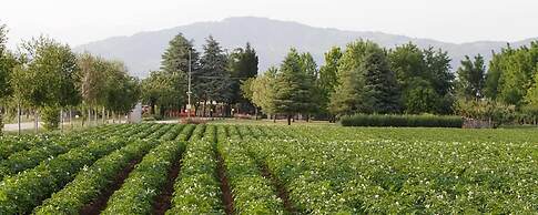 Agriturismo La Borina