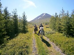 Stóra Sandfell Rooms and Cottages