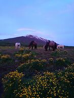 Stóra Sandfell Rooms and Cottages