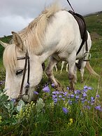 Stóra Sandfell Rooms and Cottages
