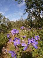 Stóra Sandfell Rooms and Cottages
