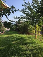 La Fontanella