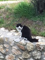La Fontanella