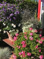 Hotel Schwarzwälder Hof