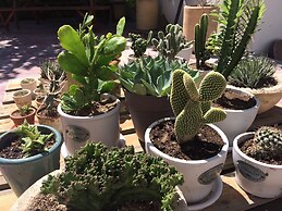 The Mantarraya Outpost Bed & Breakfast