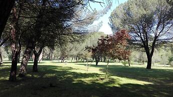 Zamora Apartments