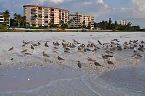 Shamron Beach Condo 507