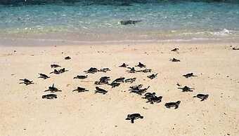 Villa Samalas Resort and Restaurant