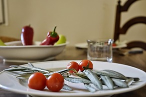 Historic Plaka Apartments