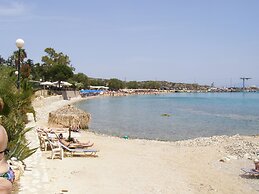 The Garden of Zephyrus