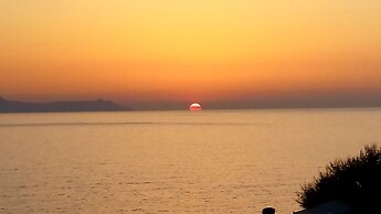 The Garden of Zephyrus