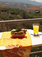 The Garden of Zephyrus